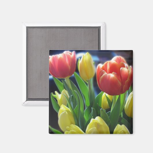 Romantische rode & gele tulp bloemen koelkastmagne magneet (Voorkant / Achterkant)