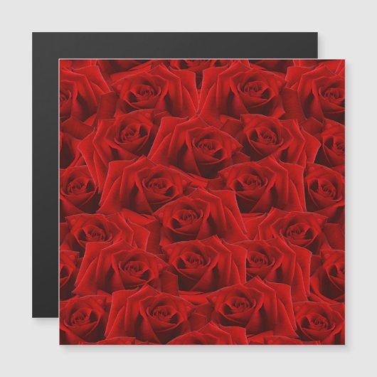 Romantische Rode Roos (Voorkant / Achterkant)