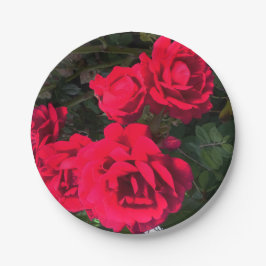 Romantische Rode Roos Bloem Party Papieren Bordje