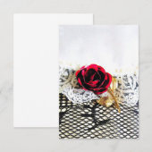 Romantische rode roos en witte kant (Voorkant / Achterkant)