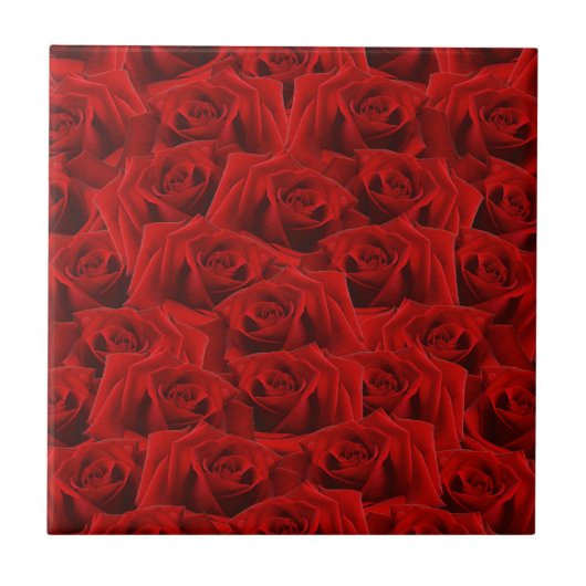 Romantische Rode Roos Tegeltje (Voorkant)