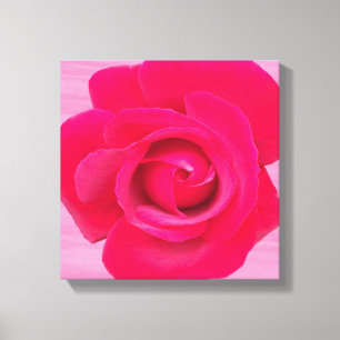 Romantische Rode Roze Roos Canvas Afdruk