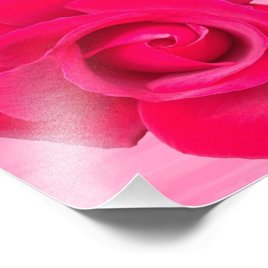Romantische rode roze roos foto afdruk (Hoek)