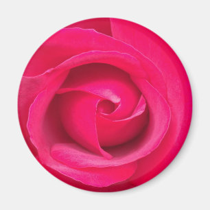 Romantische rode roze roos magneet