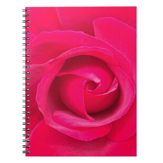 Romantische Rode Roze Roos Notitieboek (Voorkant)