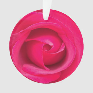 Romantische Rode Roze Roos Ornament
