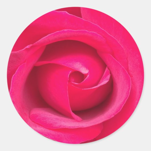 Romantische rode roze roos ronde sticker (Voorkant)