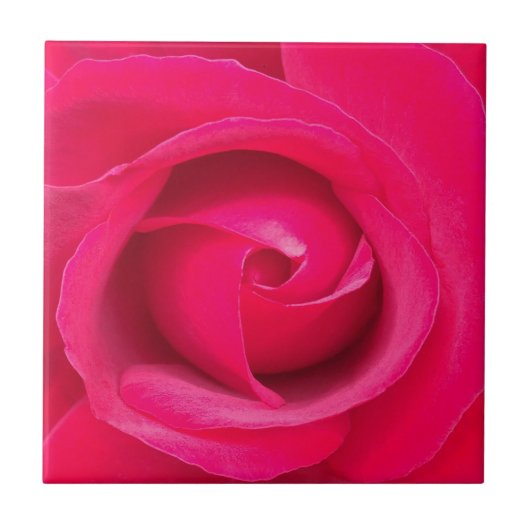 Romantische rode roze roos tegeltje (Voorkant)