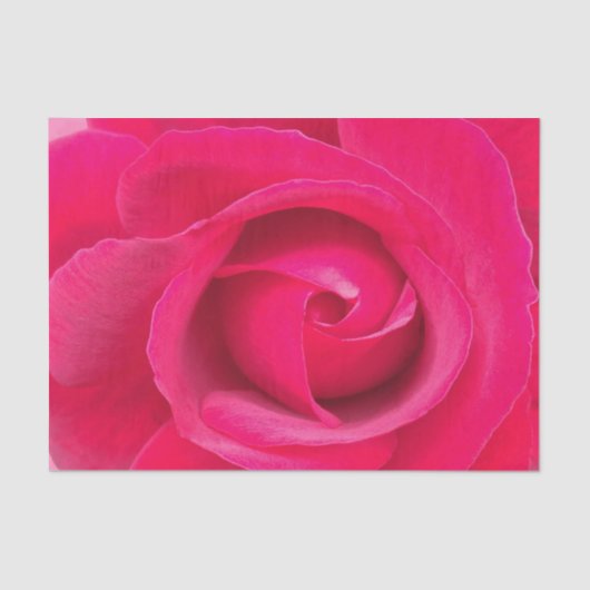 Romantische Rode Roze Roos Tissuepapier (Voorkant)