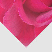 Romantische Rode Roze Roos Tissuepapier (Detail)