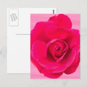 Romantische rode roze roos v2 briefkaart (Voorkant / Achterkant)