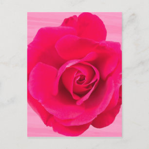 Romantische rode roze roos v2 briefkaart
