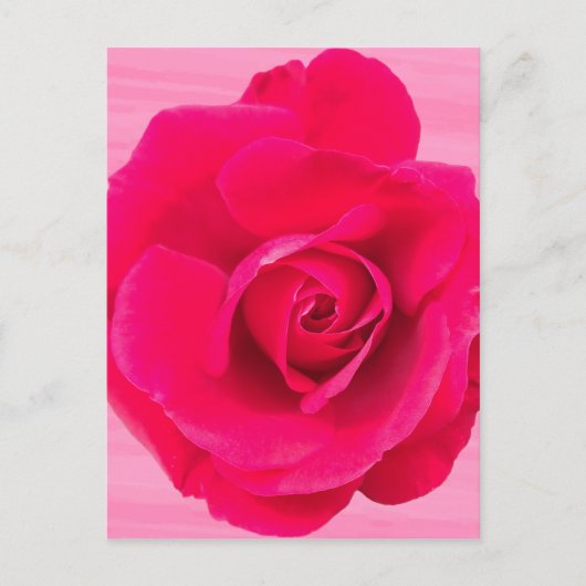 Romantische rode roze roos v2 briefkaart (Voorkant)