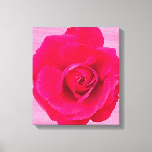 Romantische rode roze roos v2 canvas afdruk (Voorkant)
