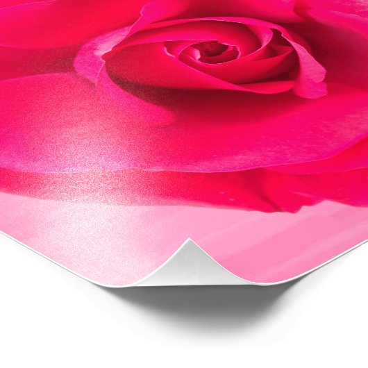 Romantische rode roze roos v2 foto afdruk (Hoek)