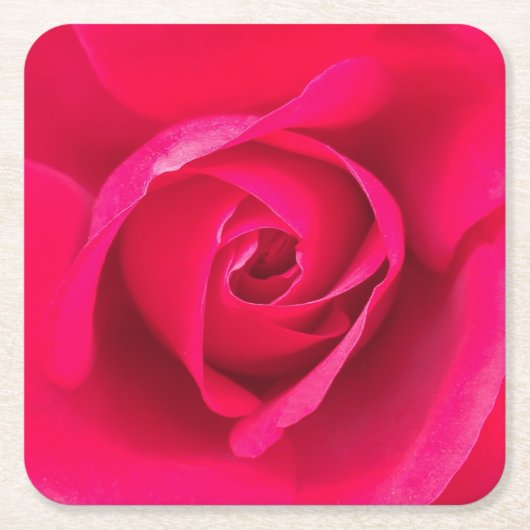 Romantische rode roze roos v2 kartonnen onderzetters (Voorkant)