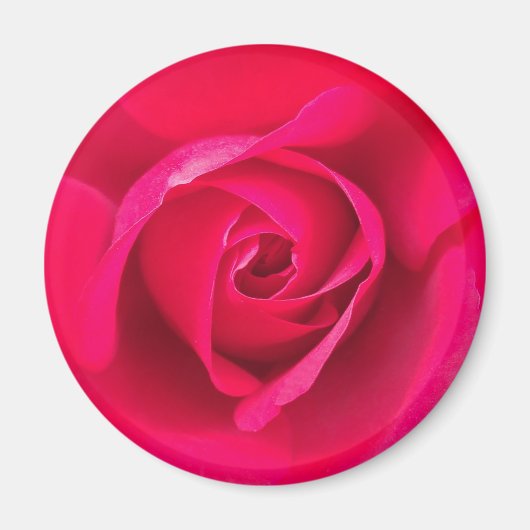 Romantische Rode Roze Roos v2 Magneet (Voorkant)