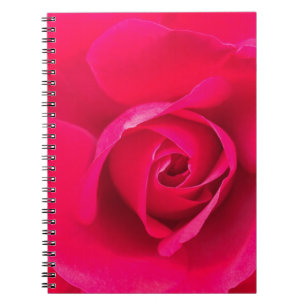 Romantische rode roze roos v2 notitieboek