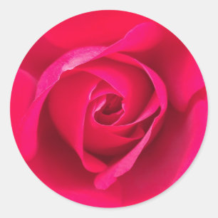 Romantische rode roze roos v2 ronde sticker