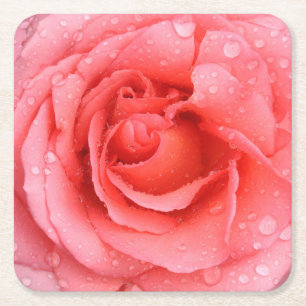 Romantische rode roze rozenwaterdruppels kartonnen onderzetters