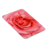Romantische Rode Roze Rozenwaterdruppels Magneet (Rechterzijde)