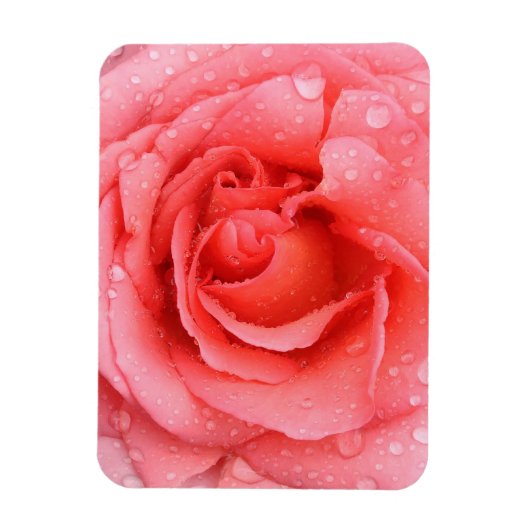 Romantische Rode Roze Rozenwaterdruppels Magneet (Verticaal)