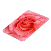 Romantische Rode Roze Rozenwaterdruppels Magneet (Linkerzijde)