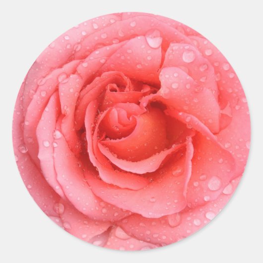 Romantische rode roze waterdruppels ronde sticker (Voorkant)