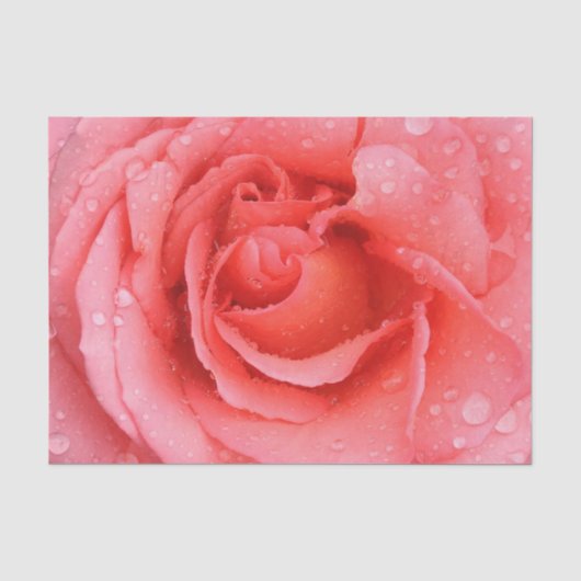 Romantische rode roze waterdruppels tissuepapier (Voorkant)