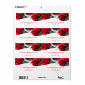Romantische rode rozen adreslabel etiket (Full Sheet)