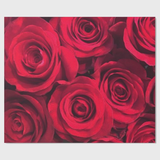 Romantische rode rozen cadeaupapier (Vlak)