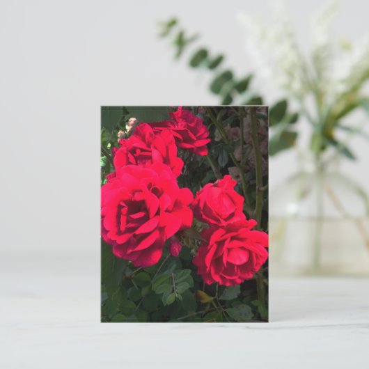 Romantische rode rozentuin rozentuin RSVP kaartje (Staand voorkant)