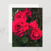 Romantische rode rozentuin rozentuin RSVP kaartje (Voorkant / Achterkant)