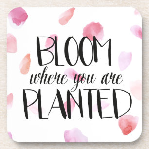 Romantische Roos bloemblaadjes Bier Onderzetter