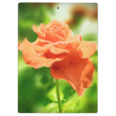 Romantische Roos bloemen #2 Klembord (Achterkant)