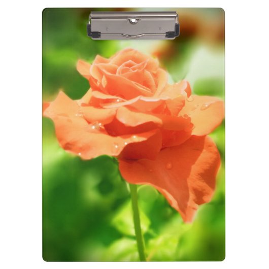 Romantische Roos bloemen #2 Klembord (Voorkant)