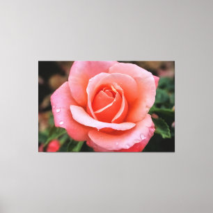 Romantische Roos Botanische Kunstprint Canvas Afdruk