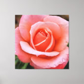 Romantische Roos Botanische Kunstprint Canvas Afdruk (Voorkant)