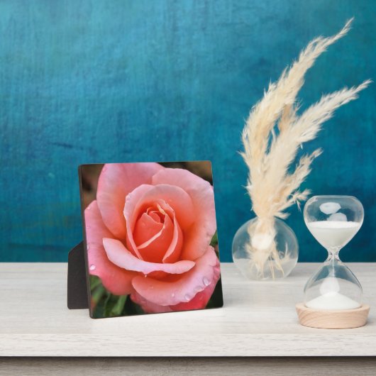 Romantische Roos Botanische Kunstprint Fotoplaat (Insitu)