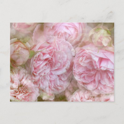 Romantische Rosen - Romantic Roses Briefkaart (Voorkant)