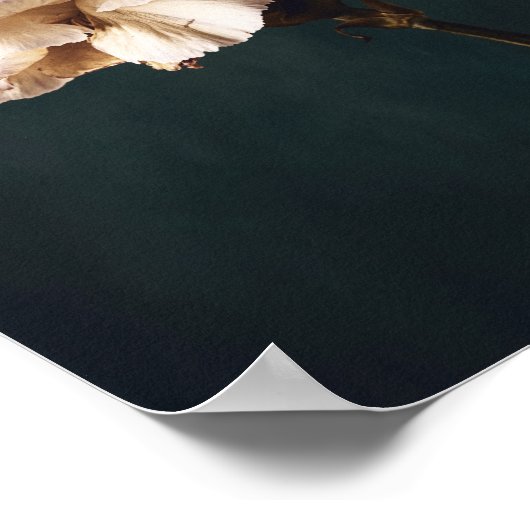 Romantische Roze Anjer Fijne Kunst Fotografie Poster (Hoek)