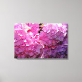Romantische roze bloemenelegante hortensia's canvas afdruk (Voorkant)