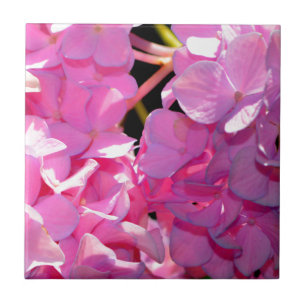 Romantische roze bloemenelegante hortensia's tegeltje