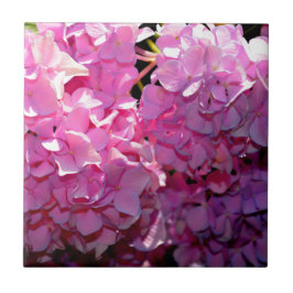 Romantische roze bloemenelegante hortensia's tegeltje