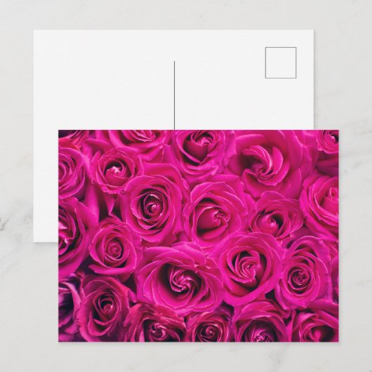 Romantische Roze Briefkaart (Voorkant / Achterkant)