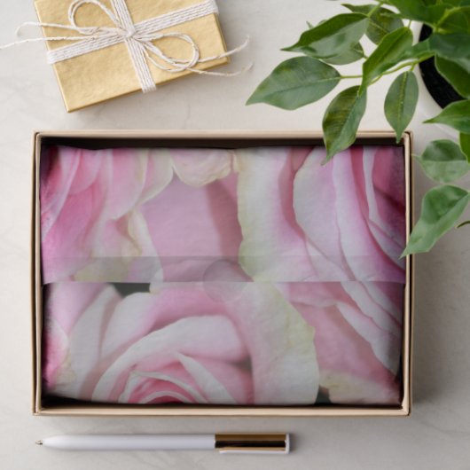 romantische roze crème rozen tissuepapier (Geschenk)