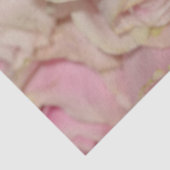 Romantische roze crème Rozen Tissuepapier (Detail)