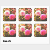 Romantische Roze Dahlia Tuin Vierkante Sticker (Vel)