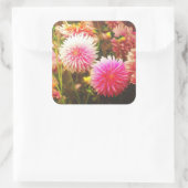 Romantische Roze Dahlia Tuin Vierkante Sticker (Tas)