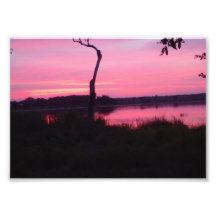 Romantische Roze Hemel
